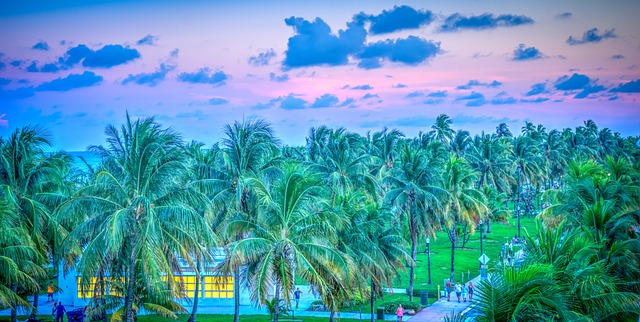 9. Blízkost historických památek: Vydejte se na fascinující výlety do historických měst v okolí Miami Beach