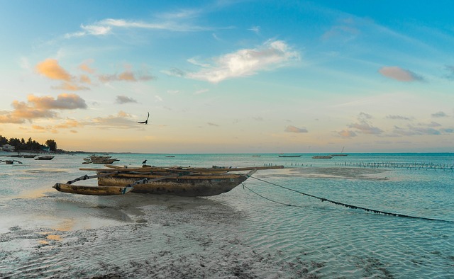 Zanzibar⁢ dovolená levně: Exotický ráj na dosah ‍ruky