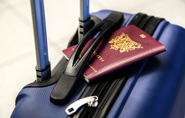 Balení cestovního zavazadla: Praktické rady a triky od profesionálních cestovatelů