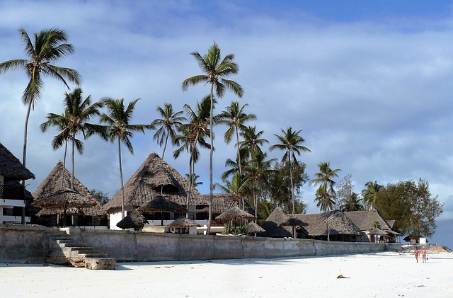 8. Užitečné informace a rady‍ pro ⁤cestování​ do Zanzibaru: ⁣Připravte se na svou ⁤exotickou dovolenou