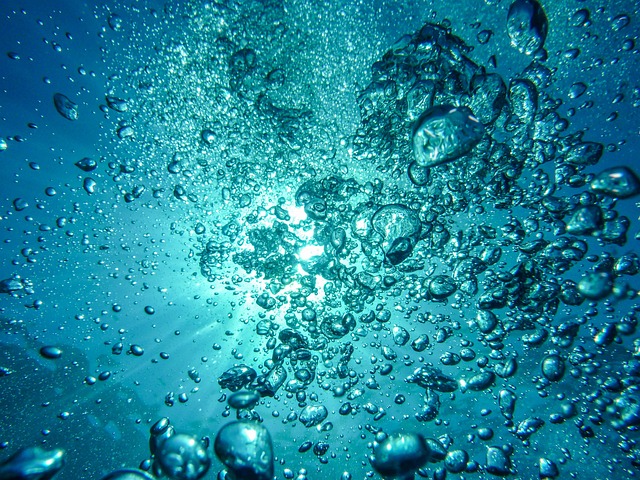 Potápění v Ras Mohammed: Ikona podmořského světa Egypta