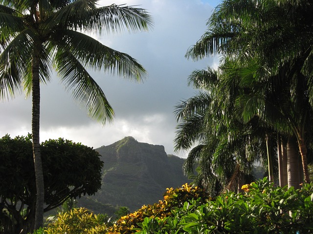 7. Plánování ⁢rozpočtu na ⁢Havajské‌ dovolené:​ Nenechte se ⁤překvapit náklady na dopravu, stravování a další‌ výdaje