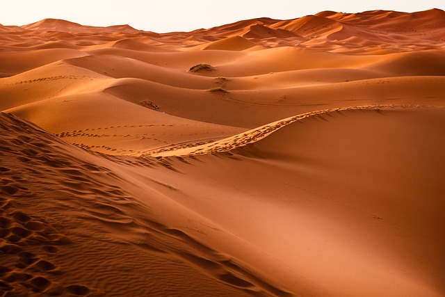 Prozkoumejte fascinující poušť až k Oázám