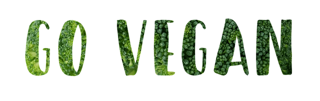 5. Veganství a thajská bazalka: Kreativní nápady pro rostlinně založené jídlo