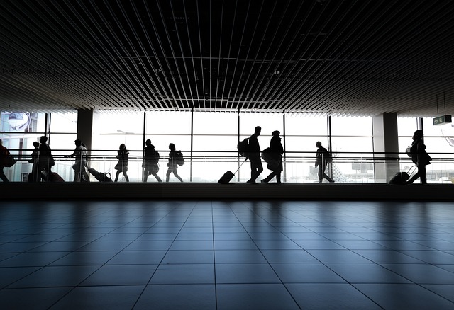 5. Kontrolní body na letišti: Co očekávat při procházení bezpečnostními kontrolami s holítky