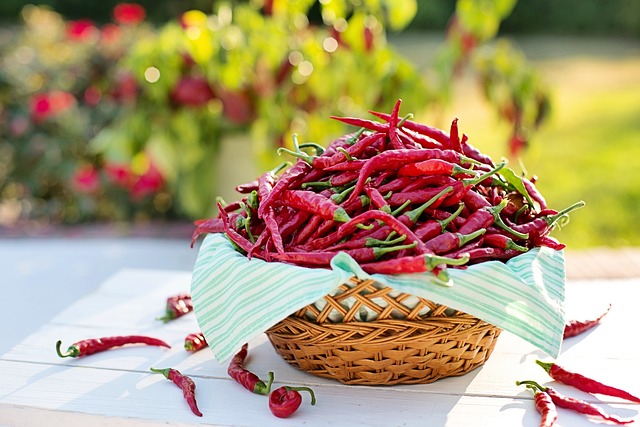 2. Taje pikantnosti: Seznamte se s nejrůznějšími druhy chilli papriček a jejich účinky na chuťové pohárky