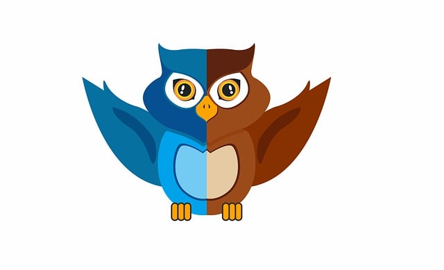 Jak dlouho trvá let z Prahy na Slunečné pobřeží? Bulharsko a letní dovolená 7 Zajímavé aktivity a atrakce na Slunečné pobřeží Bulharska