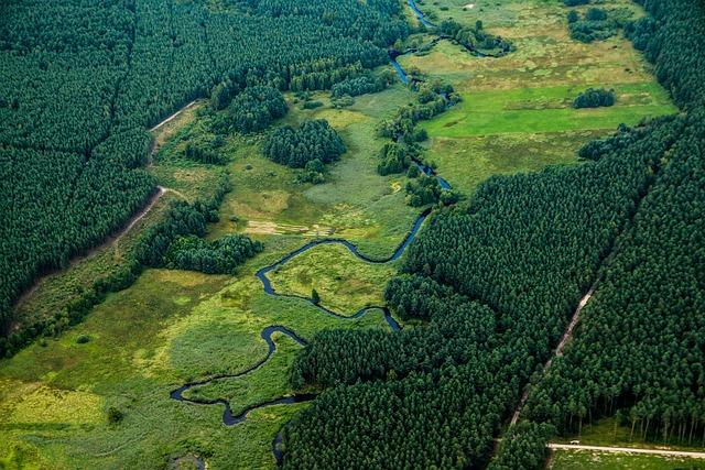 Polsko Mezizdroje: Proč Navštívit Tento Oblíbený Pobřežní Resort?