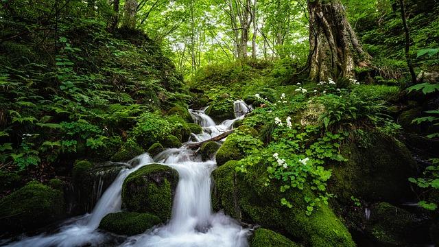 1. Různorodé klimatické podmínky Indonésie