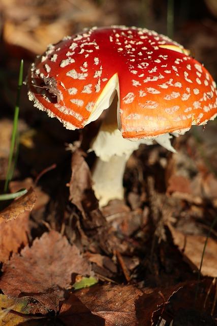 Rizika spojená s klimatickými změnami na ostrově